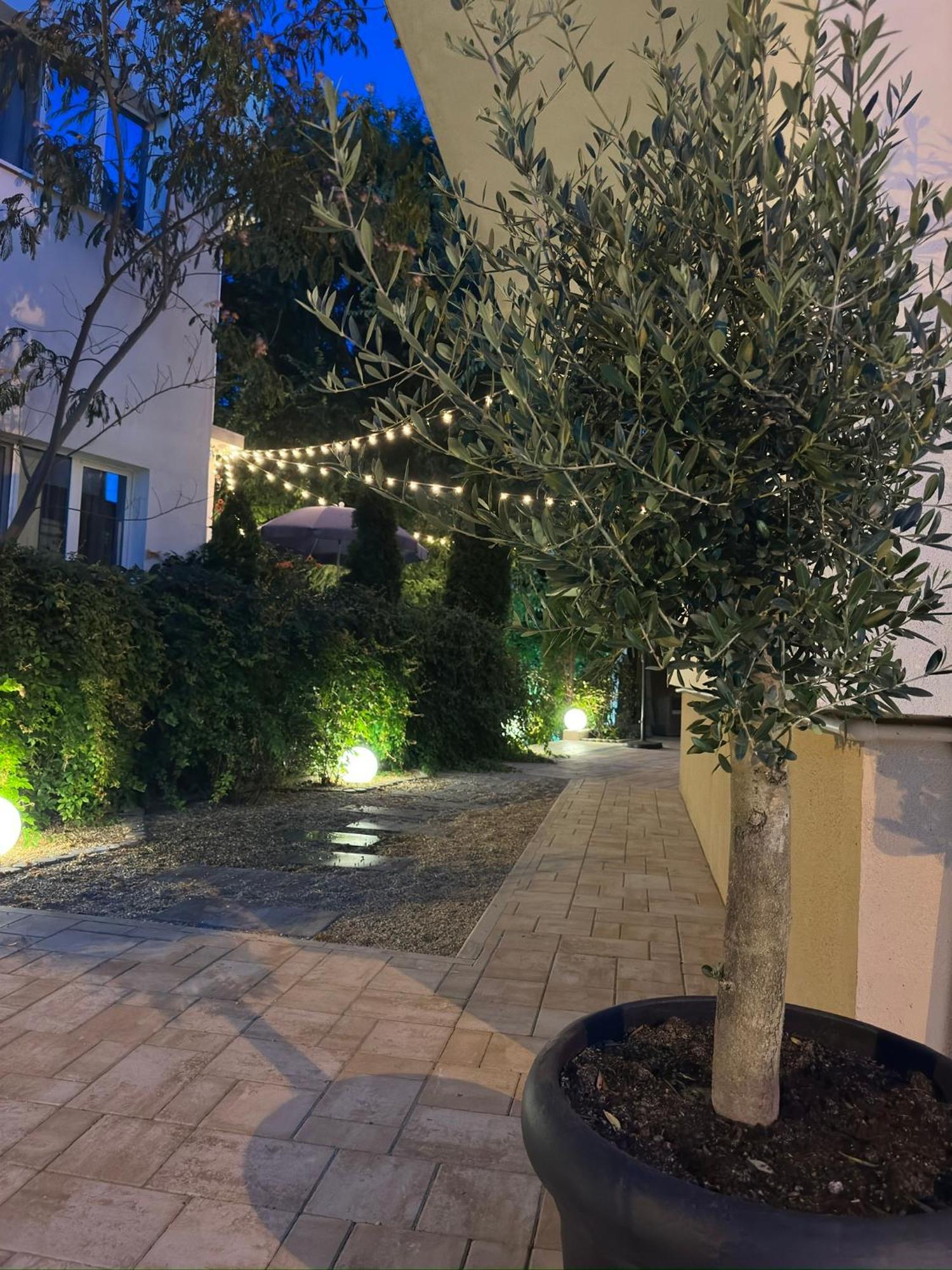 Hotel Plexus Boutique Eforie Sud  Exterior foto
